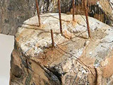evoluzione della specie prospettiva