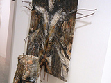 evoluzione della specie